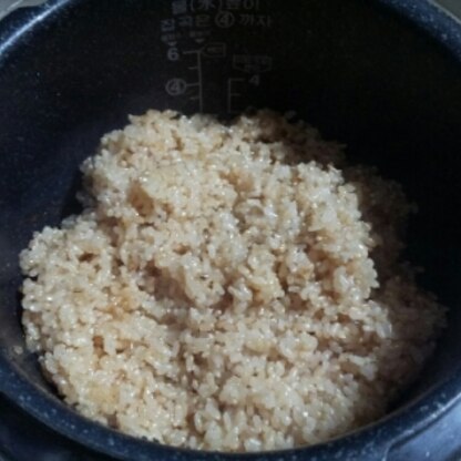 我が家にある大量の玄米。発芽させて栄養価もＵＰ(≧∇≦)b
美味しくいただきました。